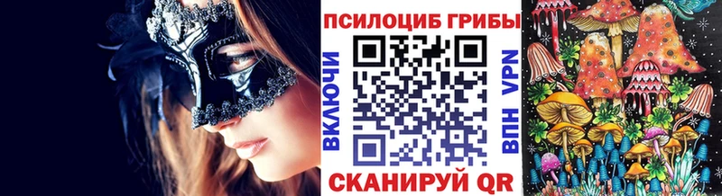 Псилоцибиновые грибы Cubensis  наркотики  hydra как зайти  Мещовск 